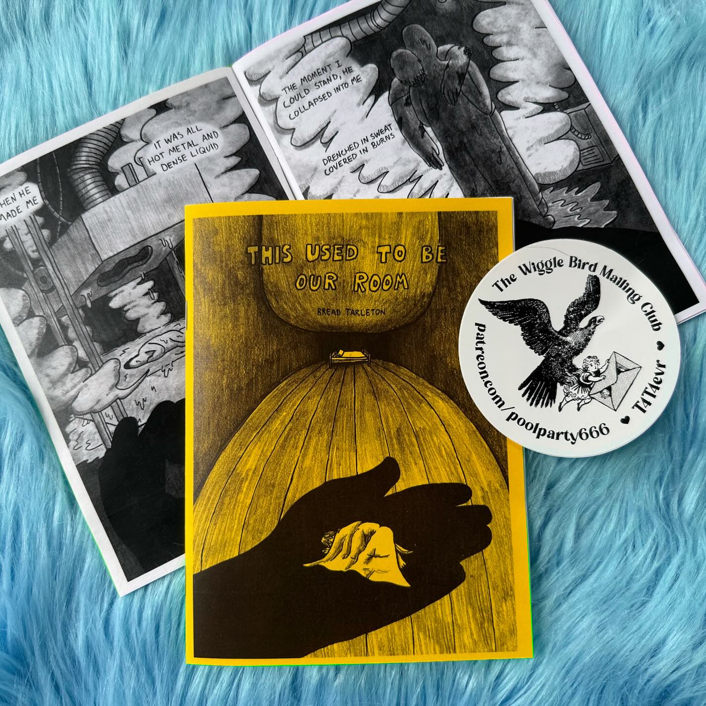 This Used To Be Our Room by Bread Tarleton