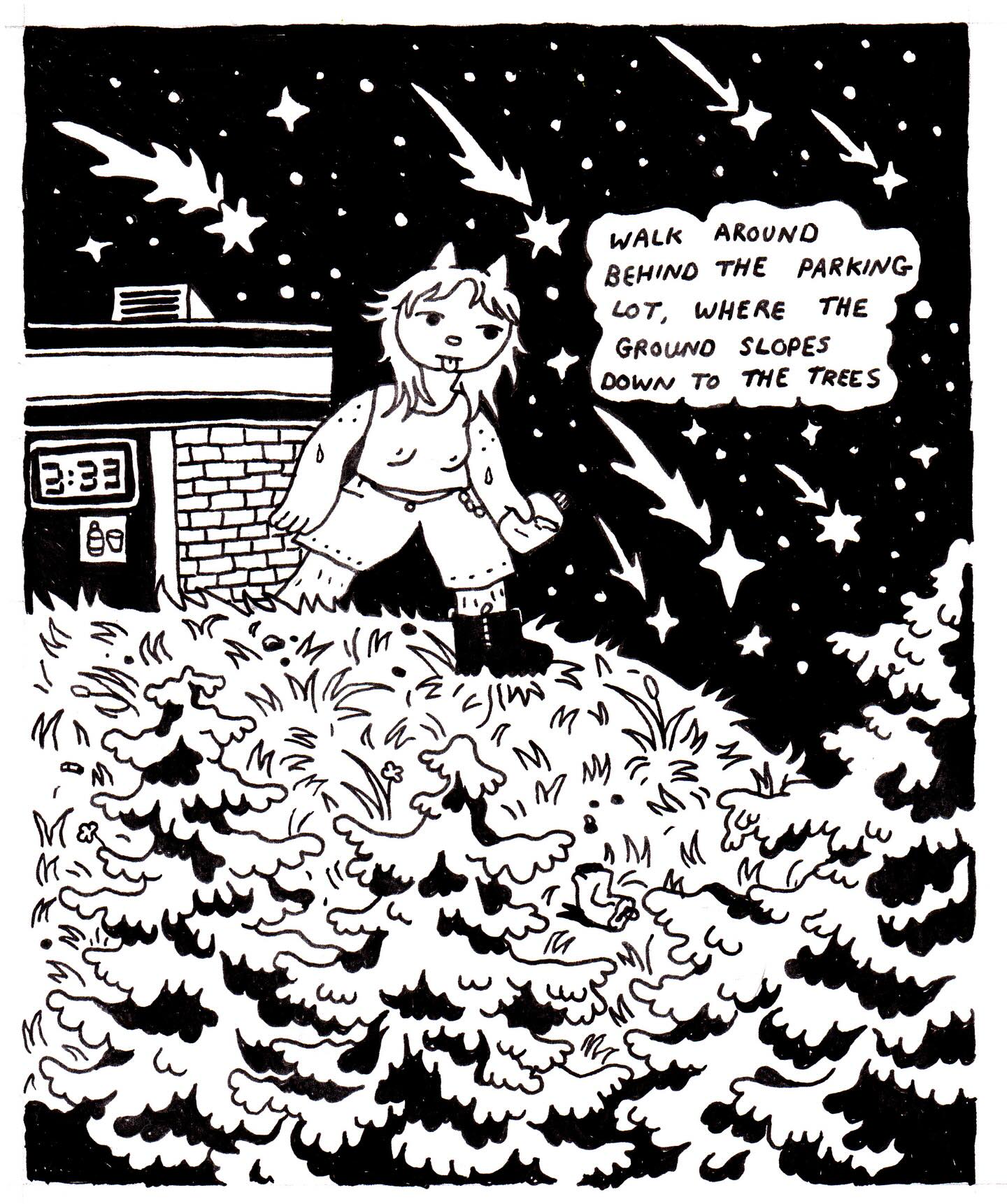 7-11 Shooting Star by Beck T.