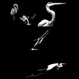 By The Lingering Light of a Slowly Dying Sun by Tyler Landry