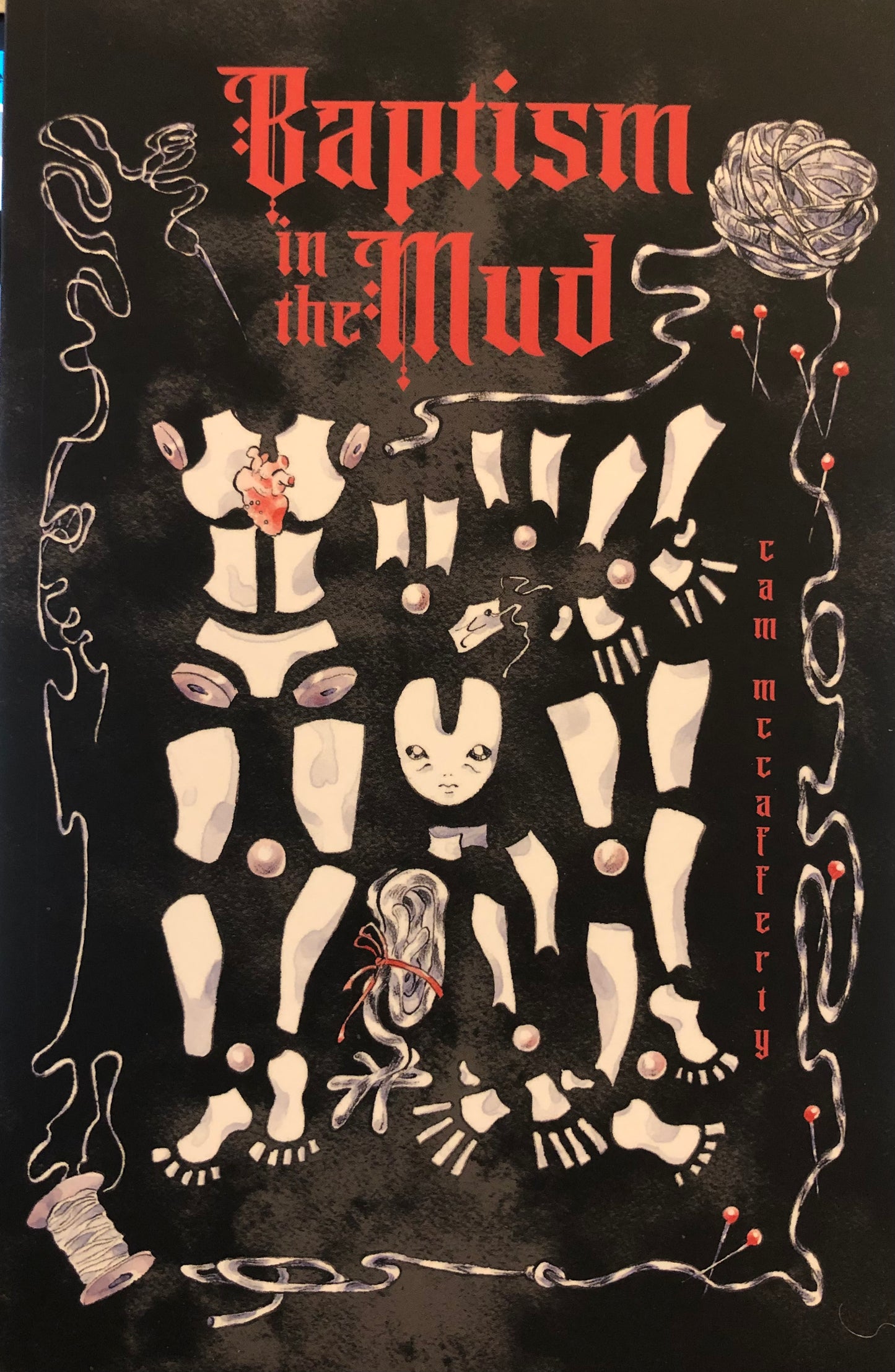 BAPTISM IN THE MUD by Cam McCafferty