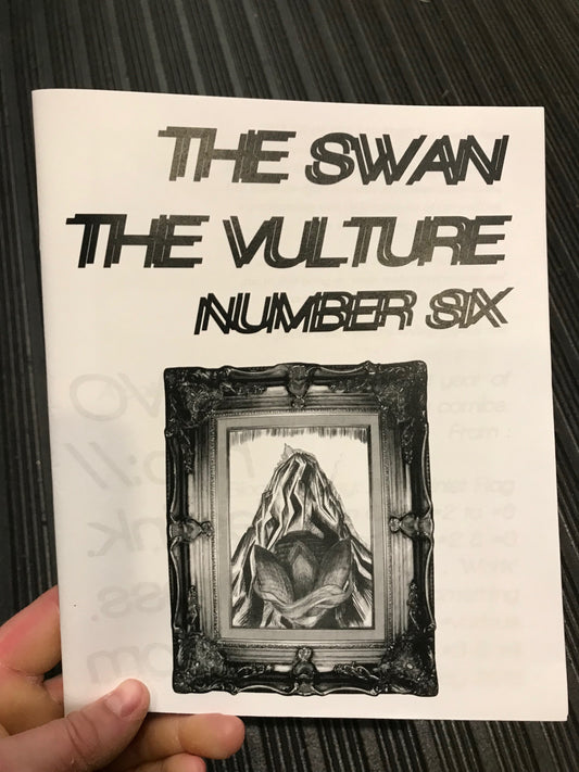 The Swan The Vulture #6 by Anna Vo