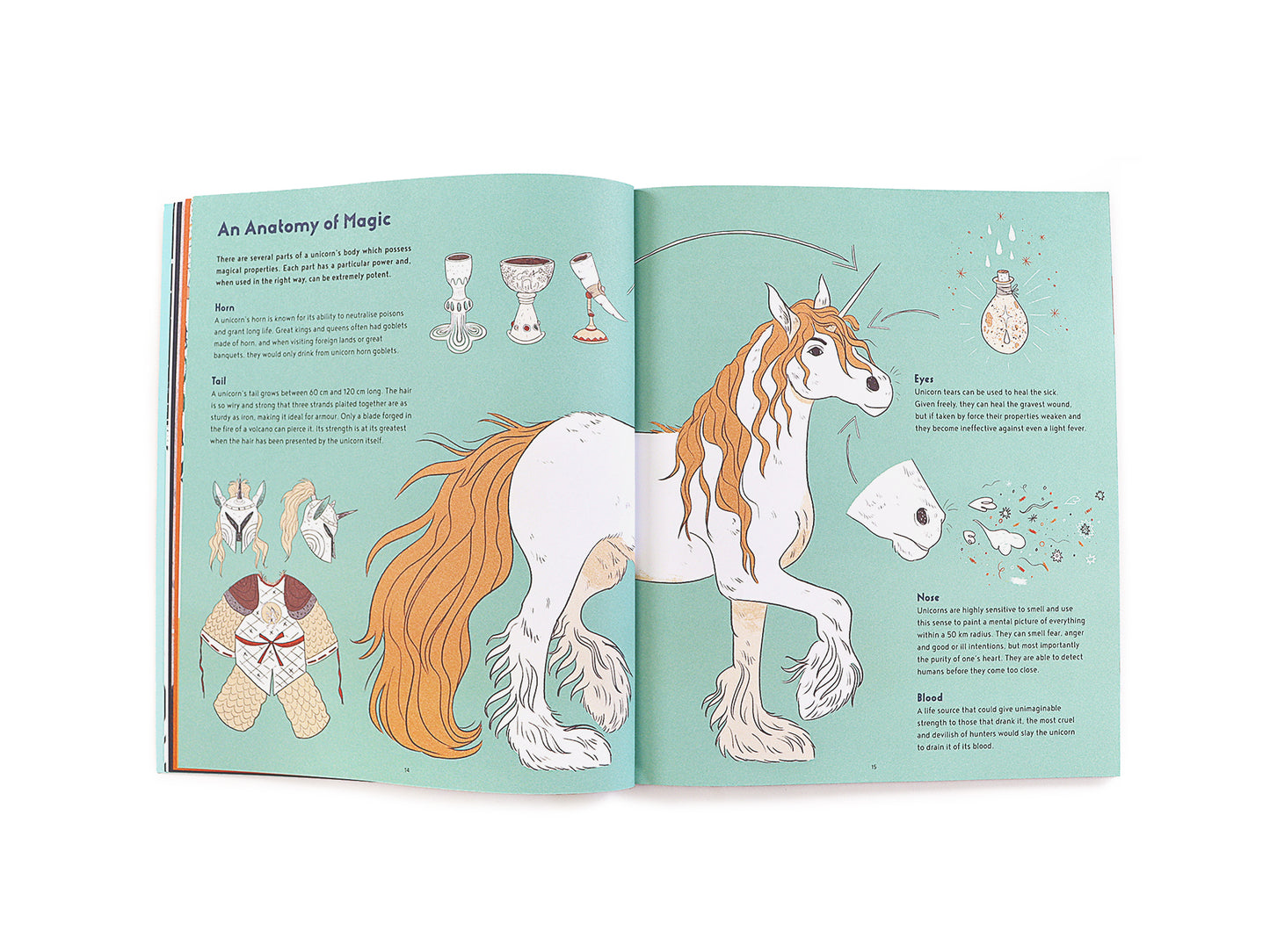 The Secret Lives of Unicorns (Paperback) by Dr Temisa Seraphini & Sophie Robin
