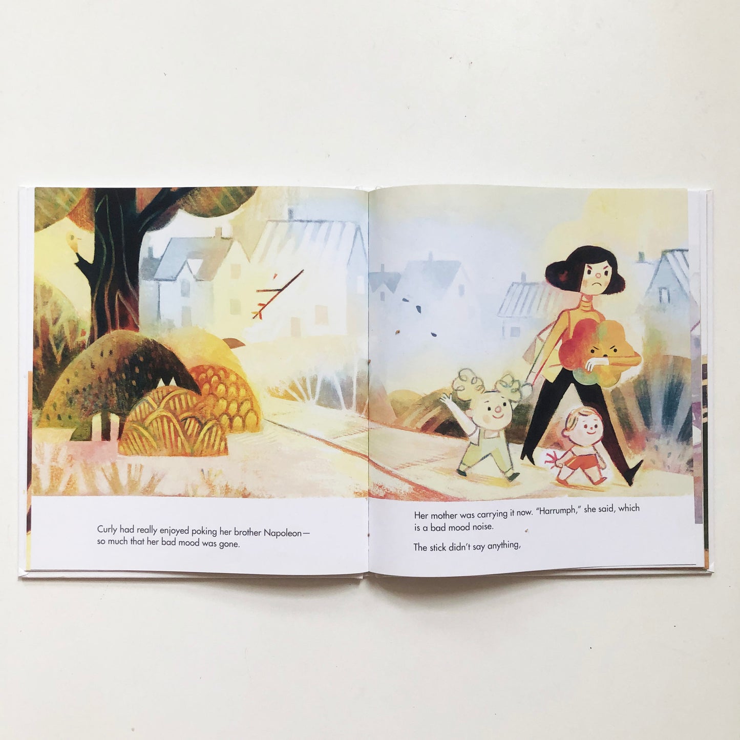 The Bad Mood and the Stick by Lemony Snicket and Matthew Forsythe