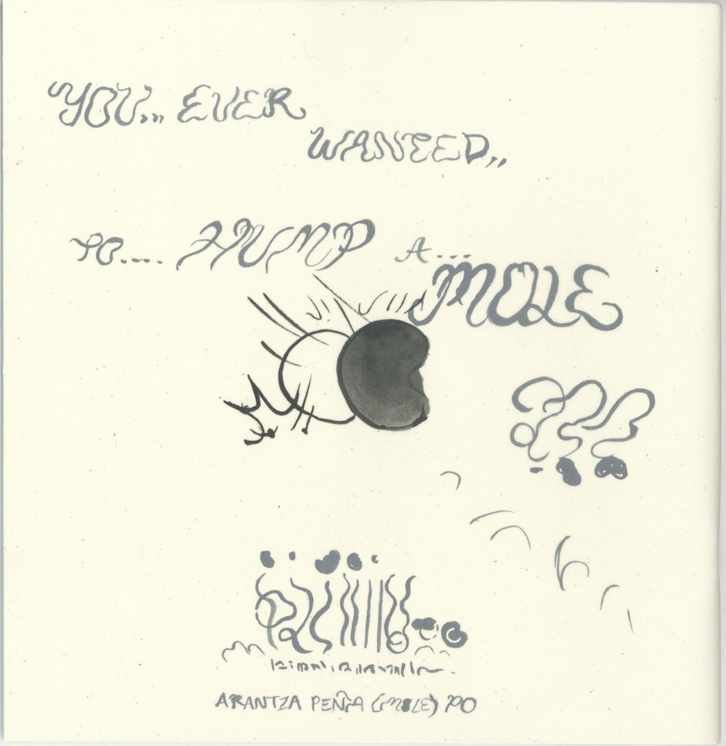 The Mole by Arantza Peña Popo