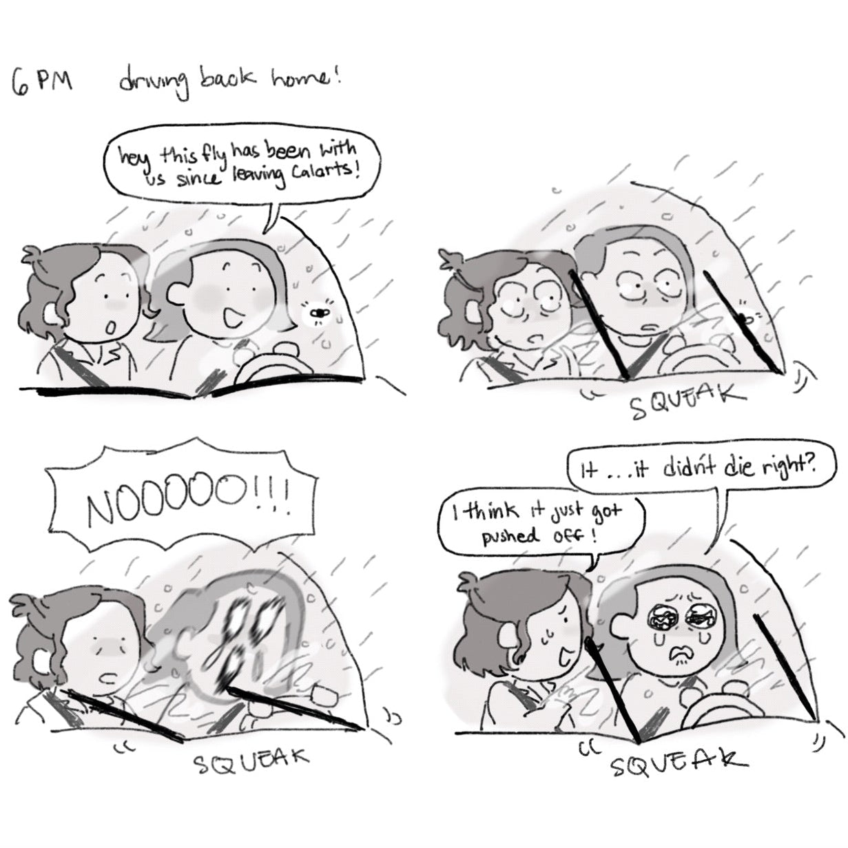 Cartoon strip of a woman driving with a fly on her head, showing various reactions.