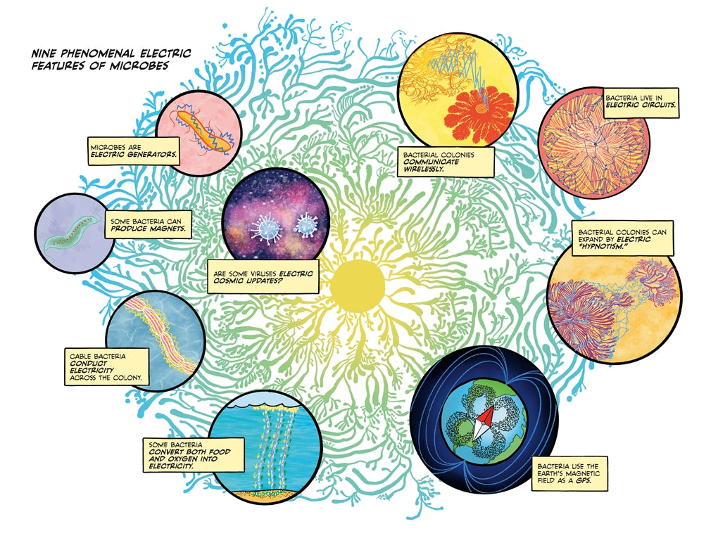 Electric Life The Hidden Radiance of Everything by Sander Funneman and Peter Brouwers