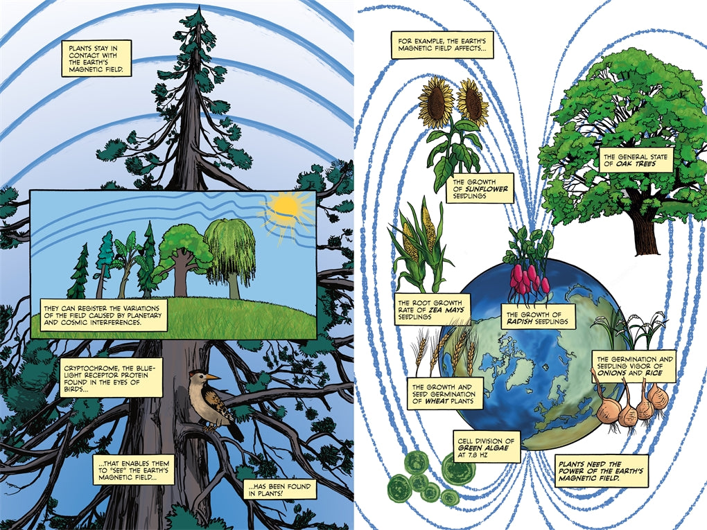 Electric Life The Hidden Radiance of Everything by Sander Funneman and Peter Brouwers