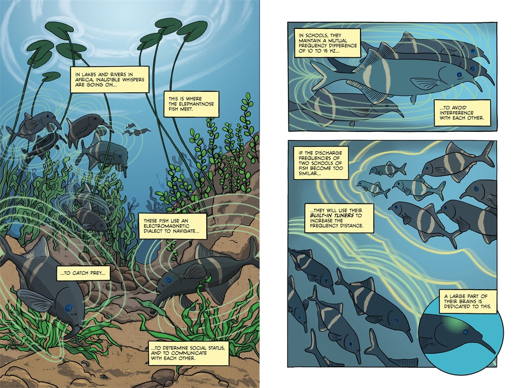 Electric Life The Hidden Radiance of Everything by Sander Funneman and Peter Brouwers