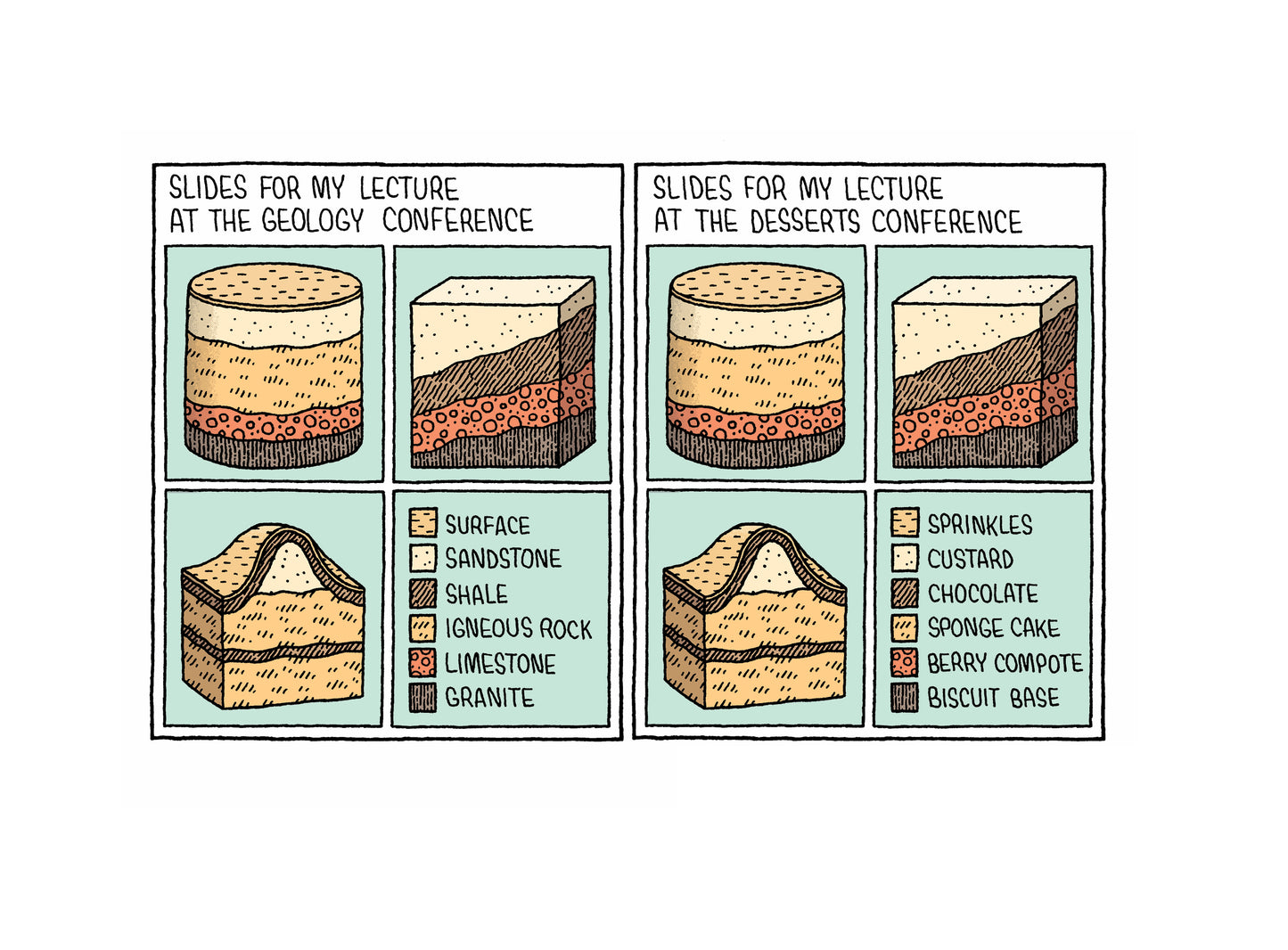 Physics for Cats by Tom Gauld