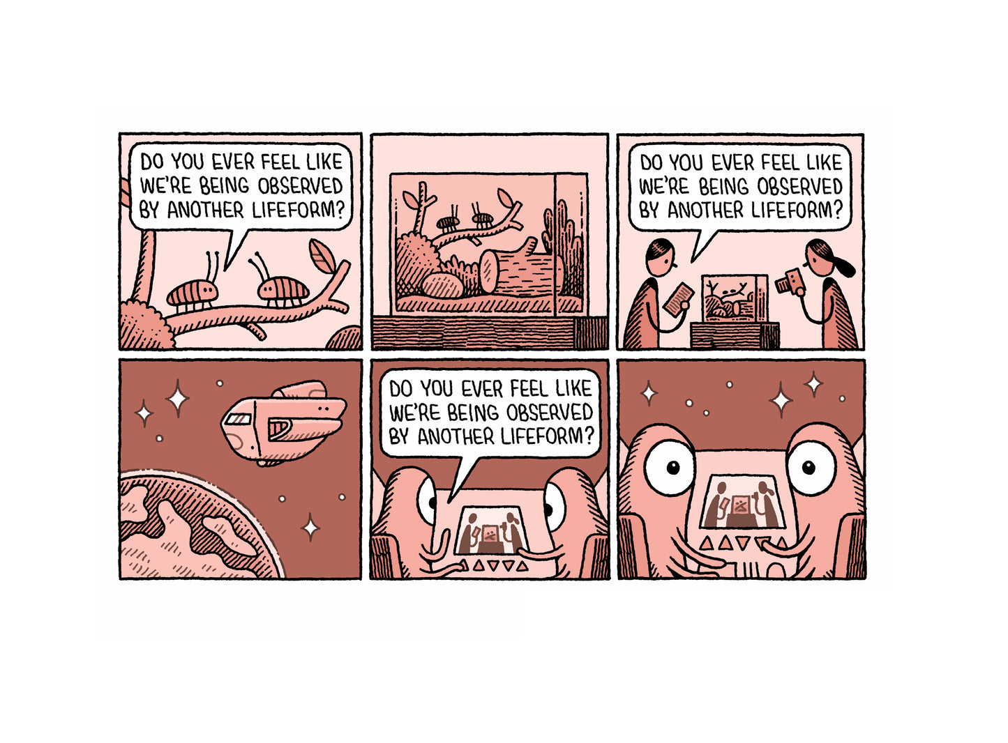 Physics for Cats by Tom Gauld