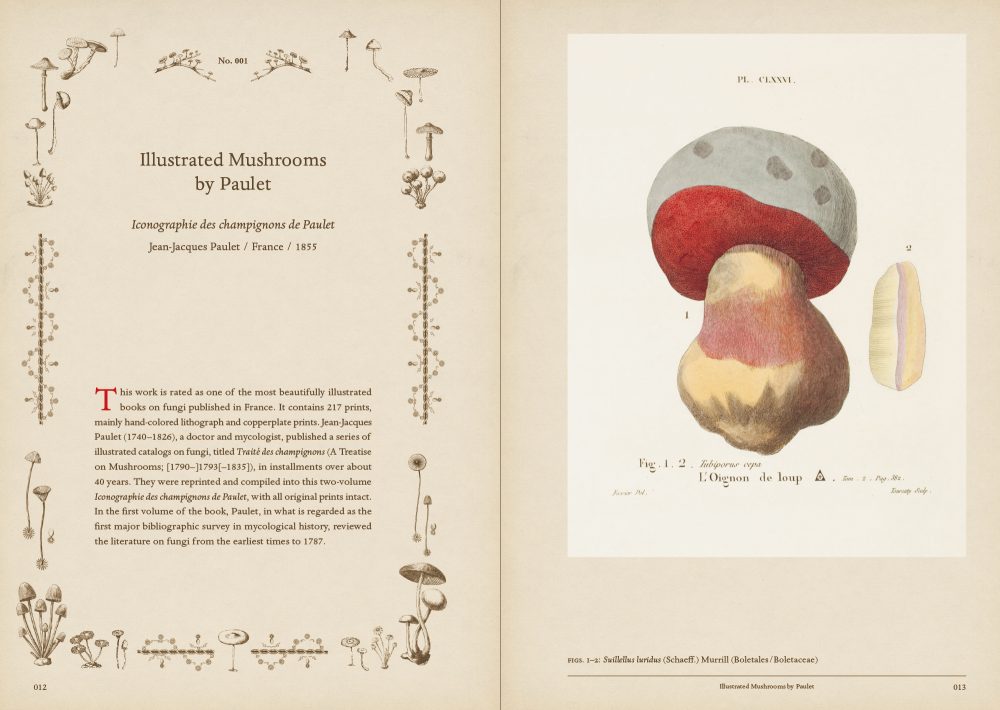 Mushroom Botanical Art by Toshimitsu Fukiharu