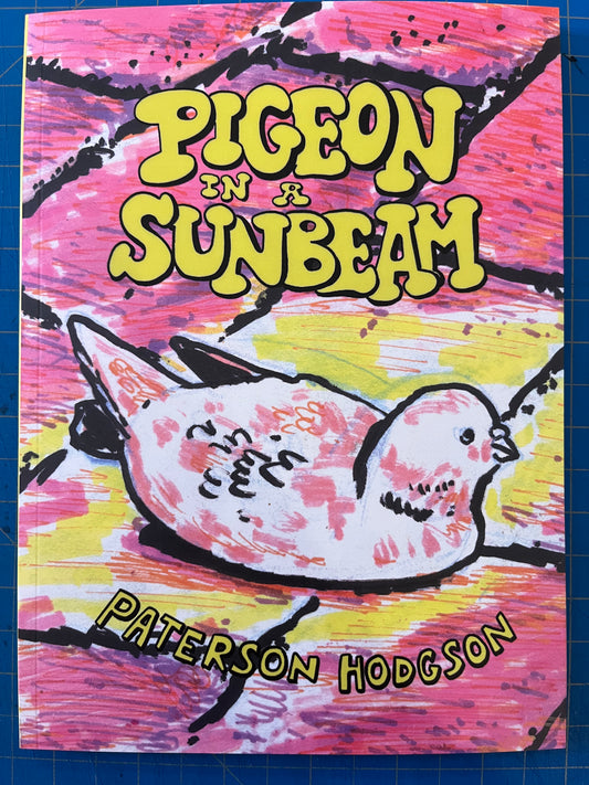 Pigeon in a Sunbeam by Paterson Hodgson