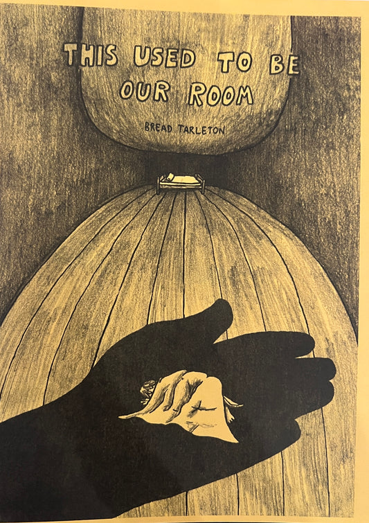 This Used To Be Our Room by Bread Tarleton