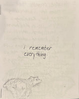 I Remember Everything by Luci Kirlin