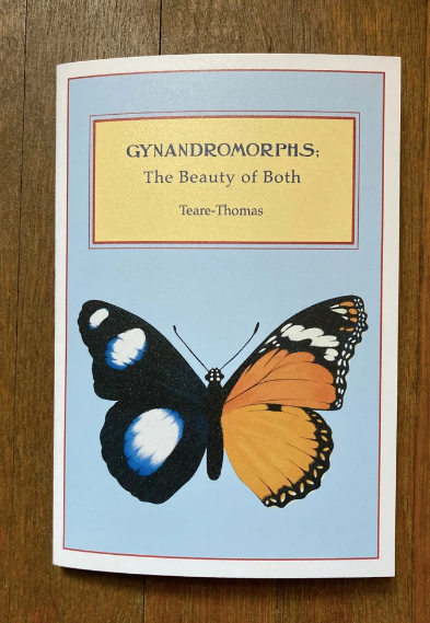 Gynandromorphs: Beauty of Both by Kieran Teare-Thomas
