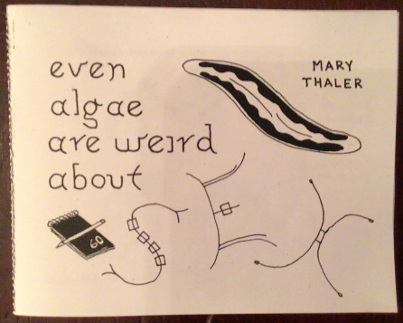 Even Algae Are Weird About Sex by Mary Thaler
