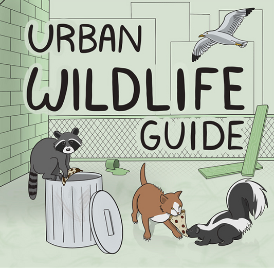 Urban Wildlife Guide by Vanessa Zucker