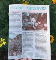 Floral Observers Vol. 1 Issue 2 by Taxonomy Press