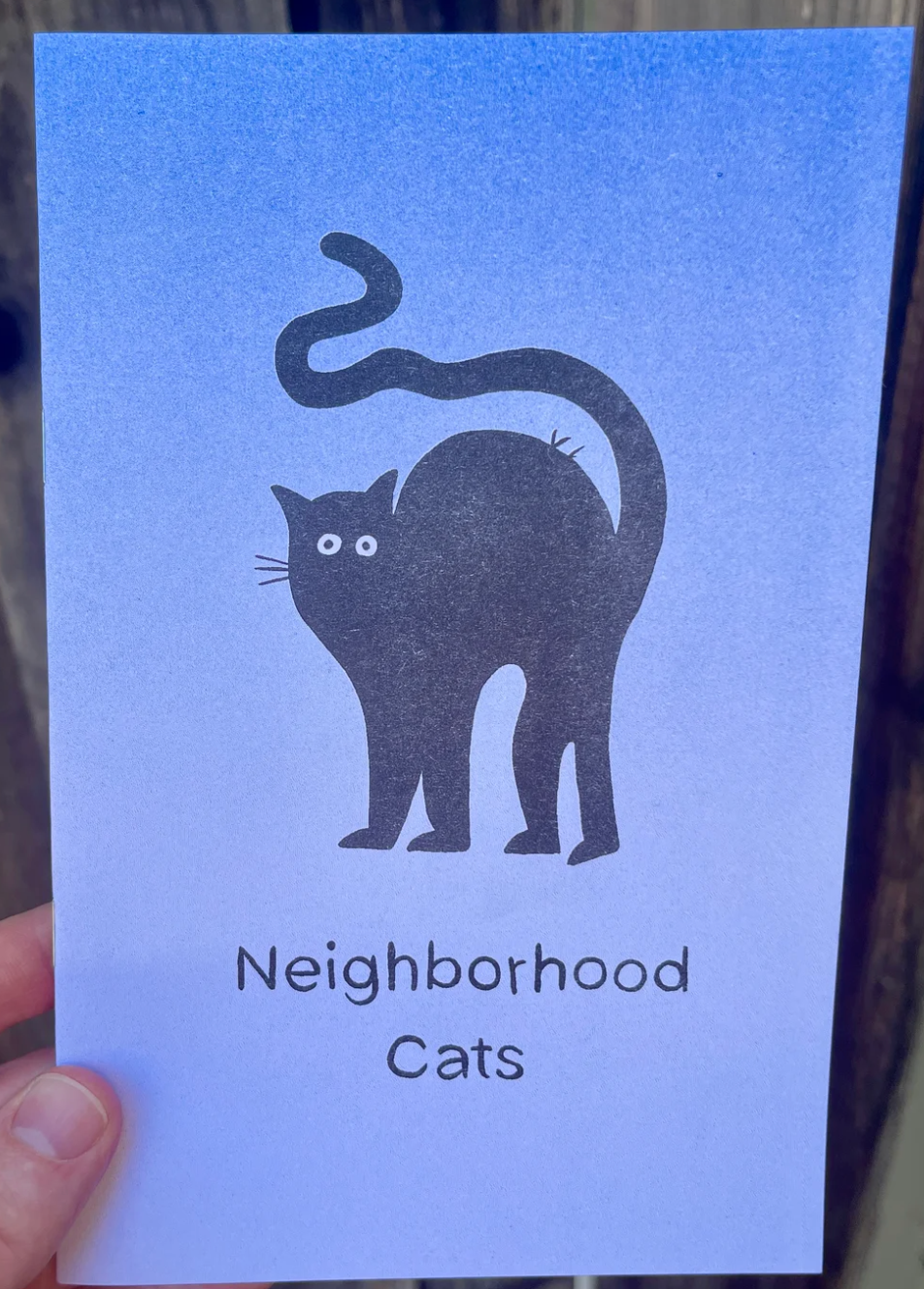 Neighborhood Cats by Kyle Harter