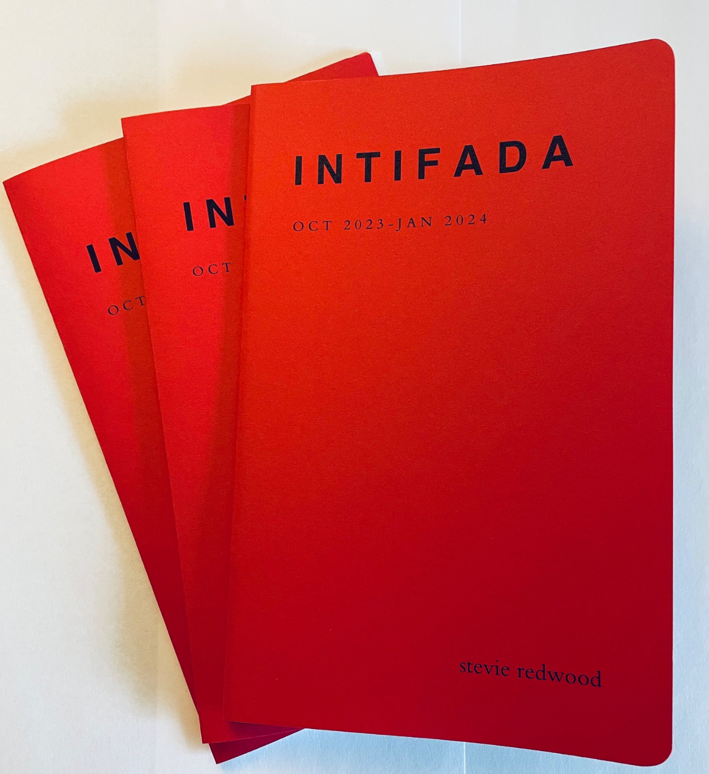 Intifada: Oct 2023- Jan 2024 by Stevie Redwood (Dead Mall Press)