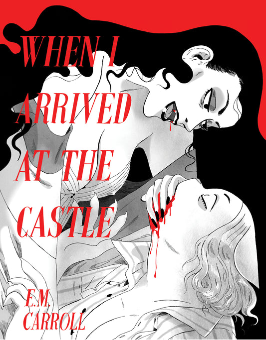 When I Arrived at the Castle by E.M. Carroll