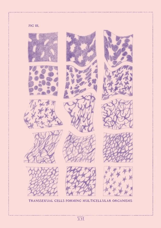 A Scientific Study of Transsexuality by Oscar Woodiwiss