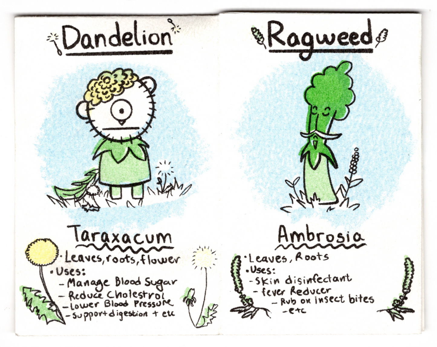 Garden Weed: Herbalism 101 by Katie Ra