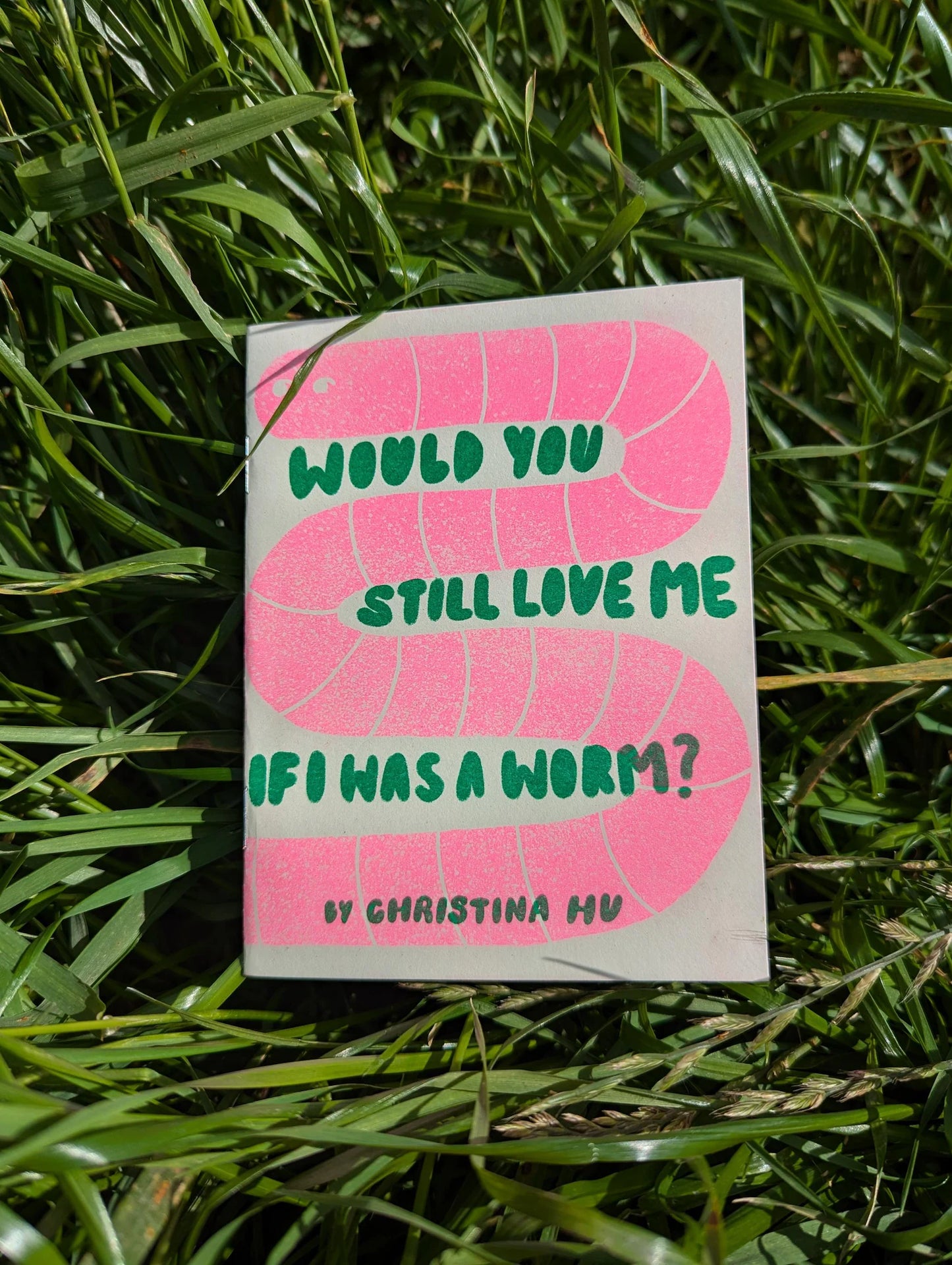 Would You Still Love Me If I Was A Worm by Christina Hu