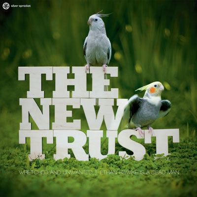 The New Trust & Pteradon - Split EP